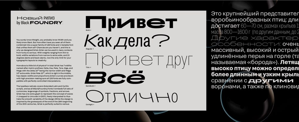 Пример шрифта Grtsk Giga Light Italic
